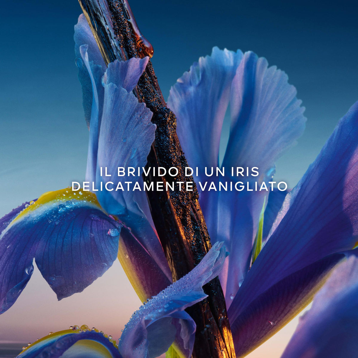 Cofanetto L'Heure Bleue Eau de Parfum