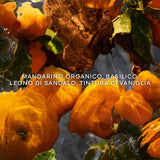 Cofanetto Aqua Allegoria Mandarine Basilic Forte - Coffret Eau de Parfum