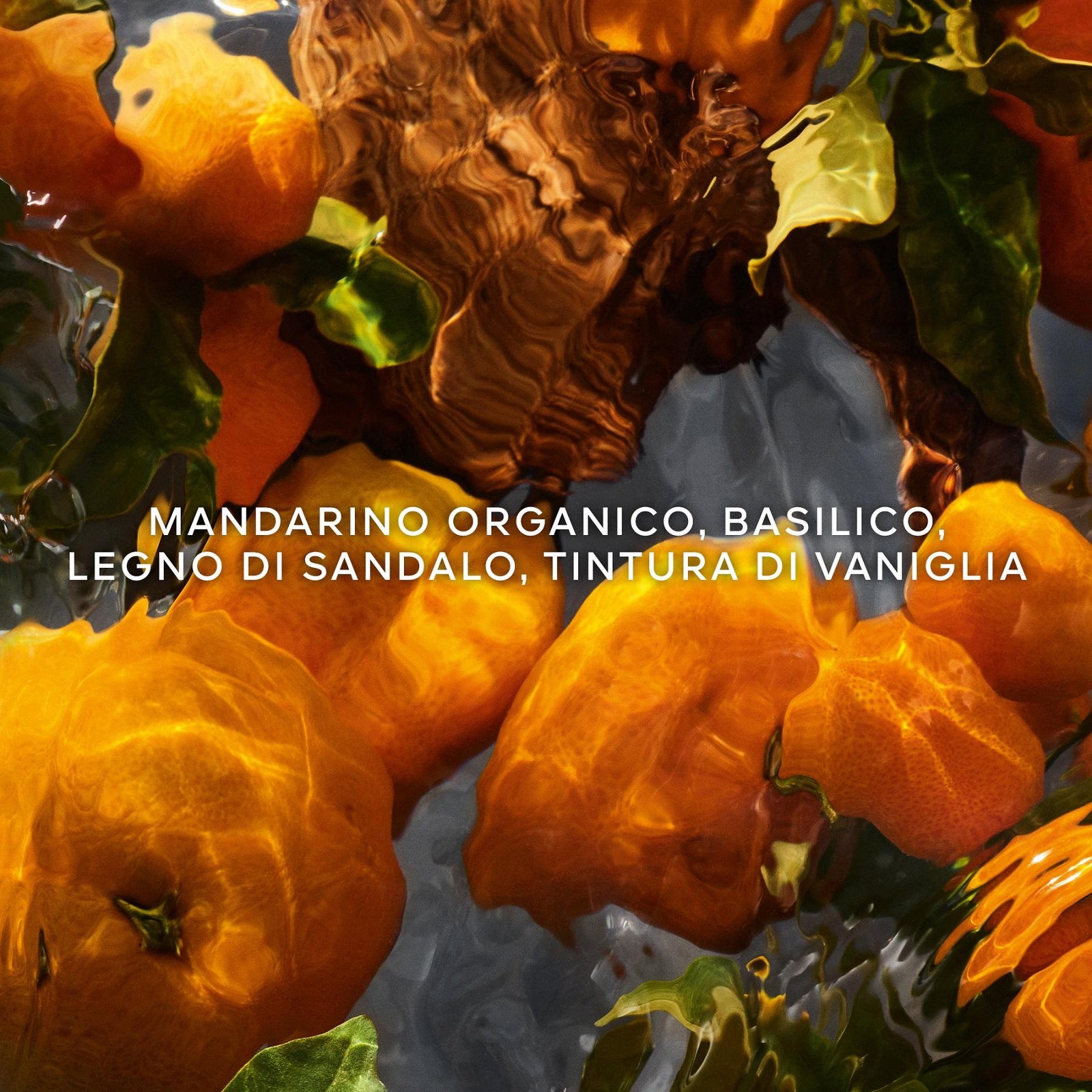 Cofanetto Aqua Allegoria Mandarine Basilic Forte - Coffret Eau de Parfum