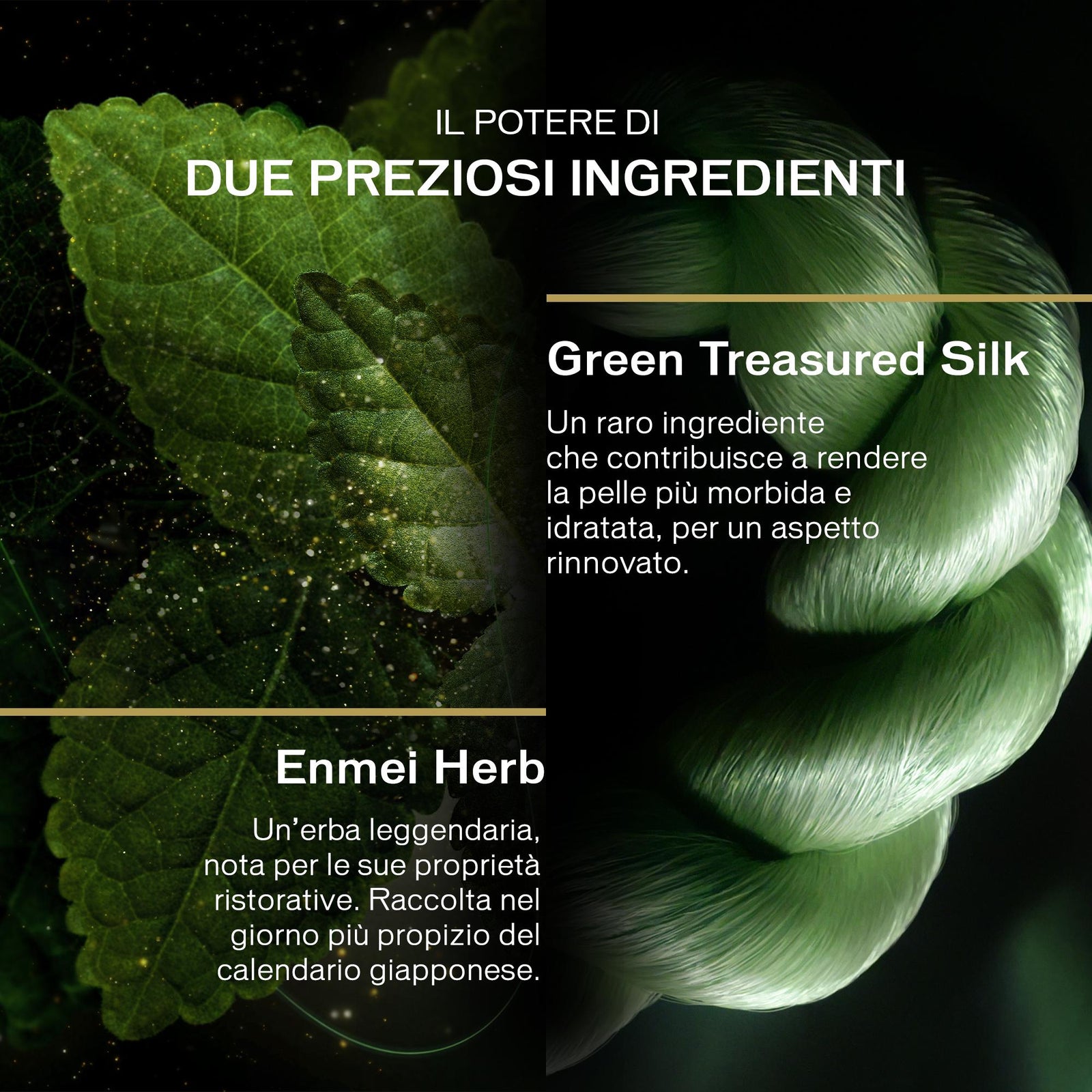 Future Solution LX Legendary Enmei Ultimate Renewing Cream