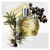 Terre d’Hermès Eau Givrée Ricarica