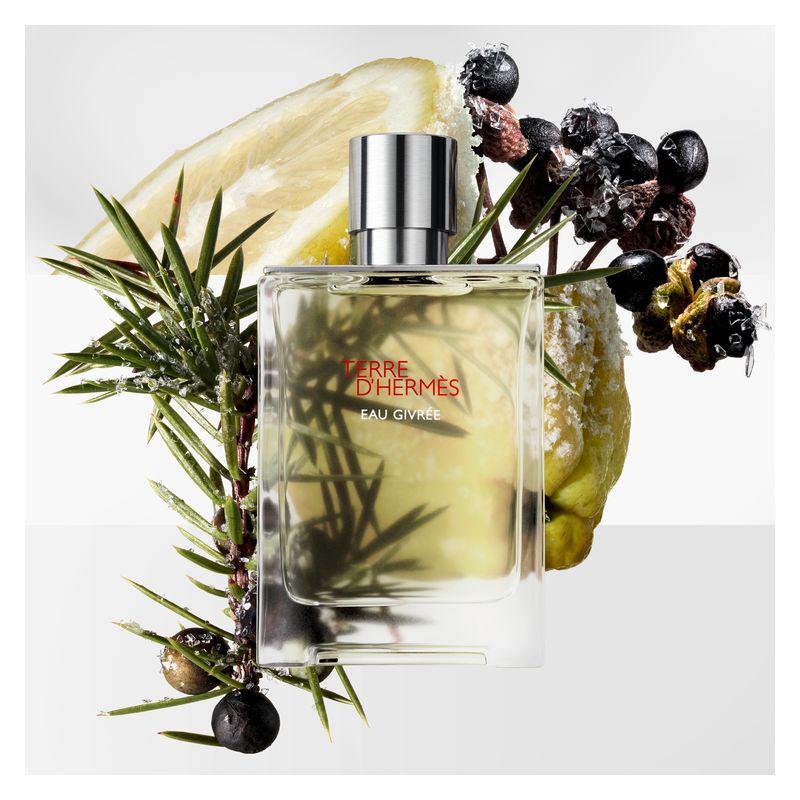 Terre d’Hermès Eau Givrée Ricarica