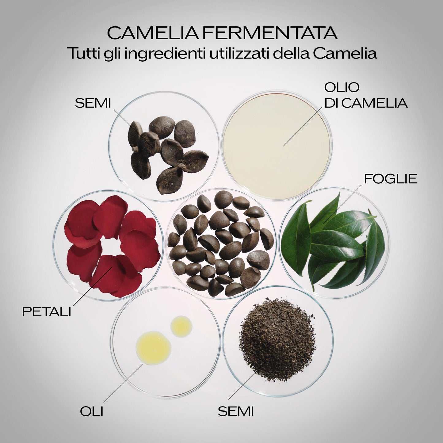 Ultimune Power Infusing Serum Ricarica