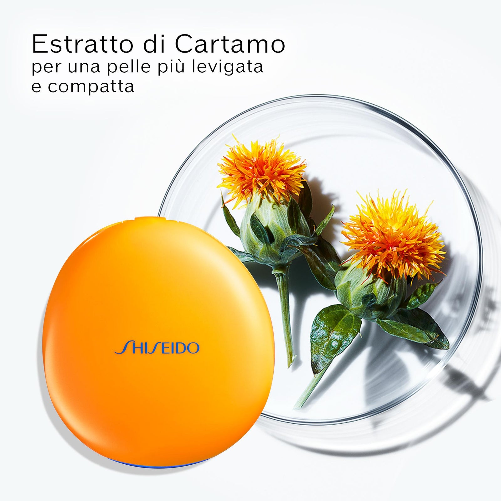 Tanning Compact SPF10