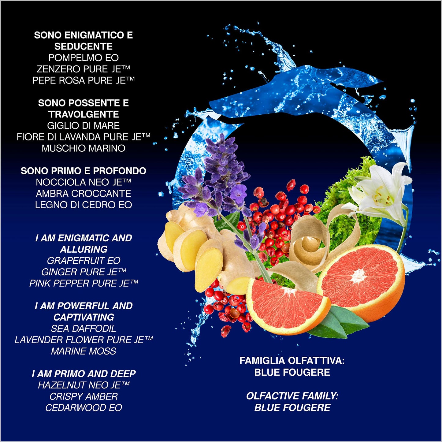 Trussardi Primo Notte Blu