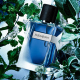 Y Iced Cologne