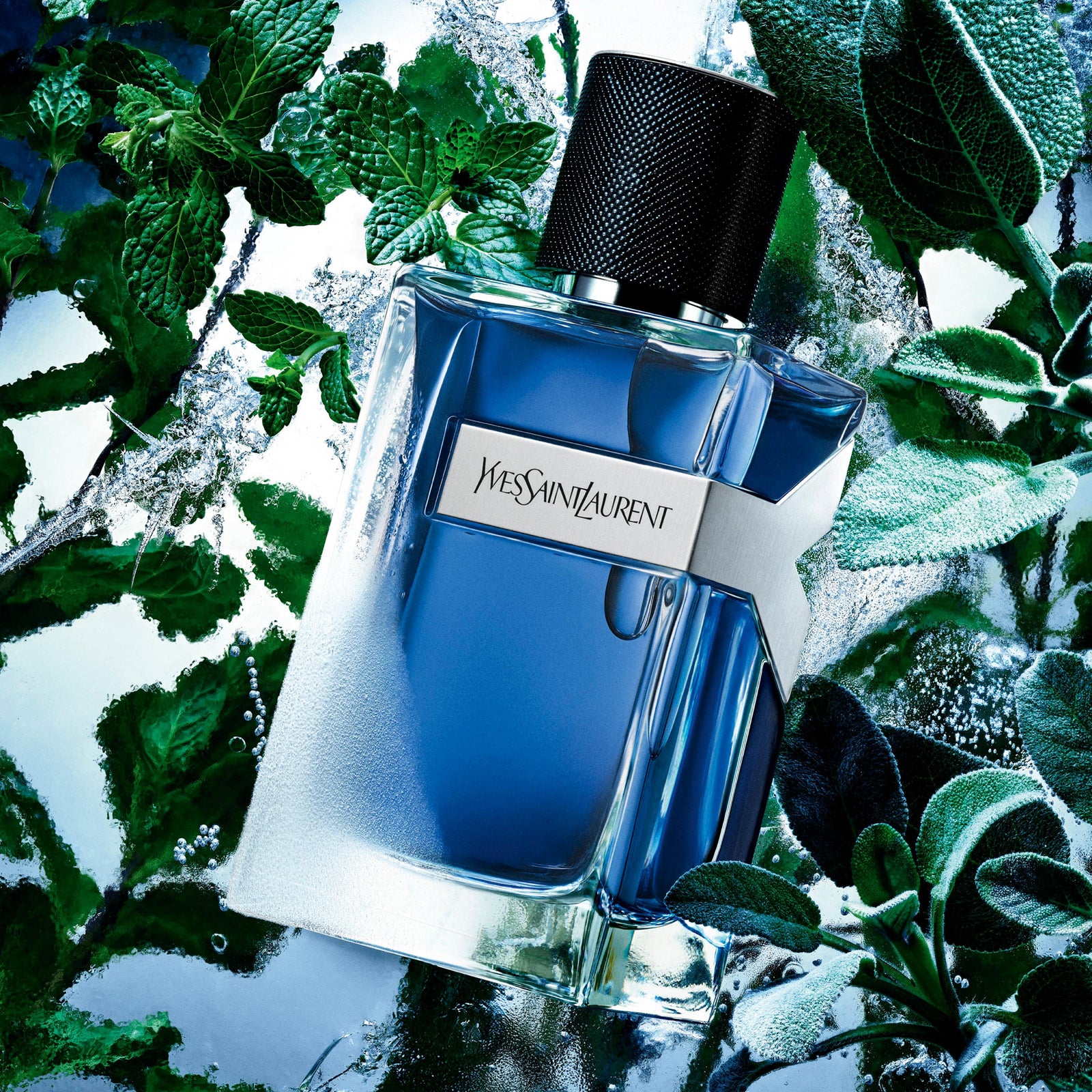 Y Iced Cologne