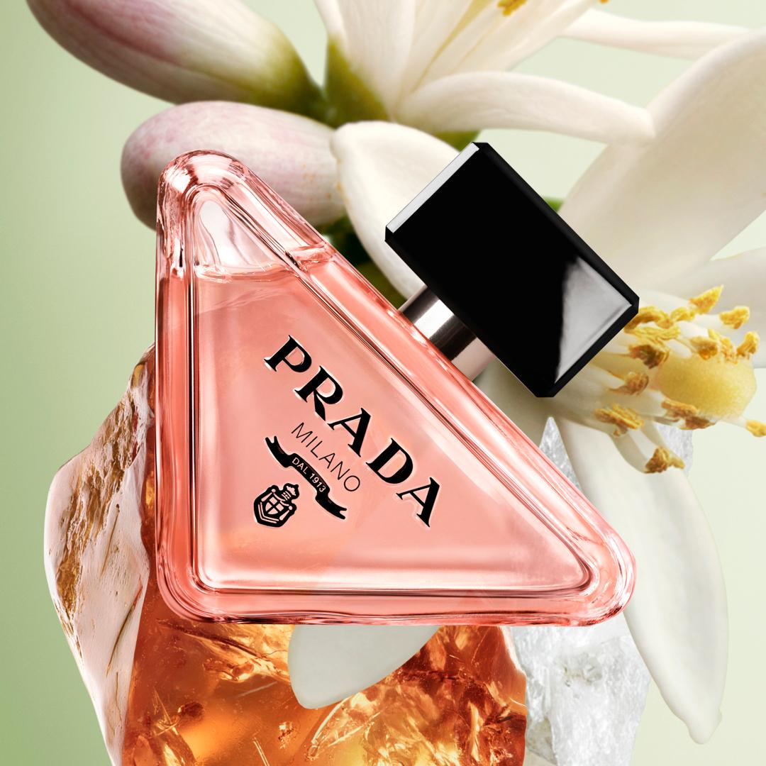 Paradoxe