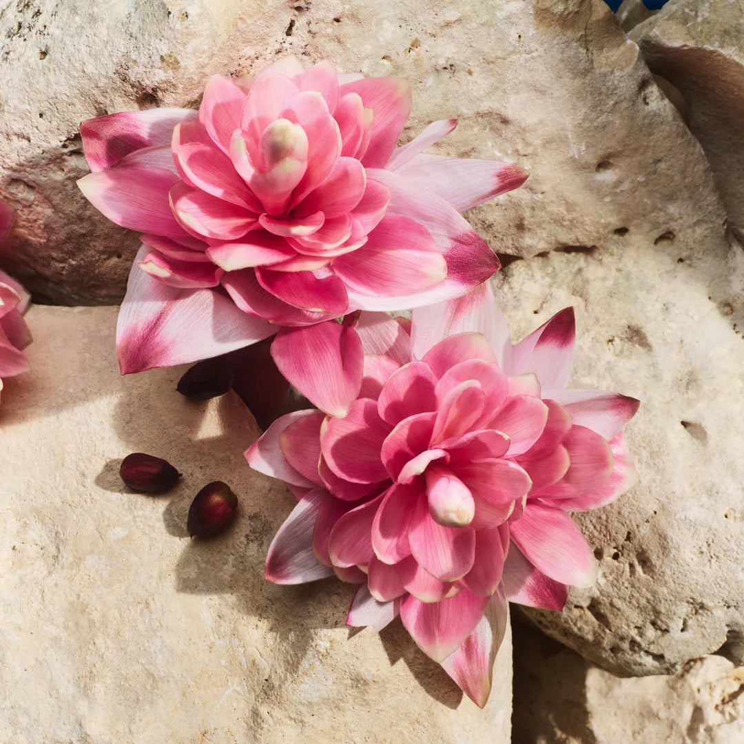 Light Blue Capri in Love