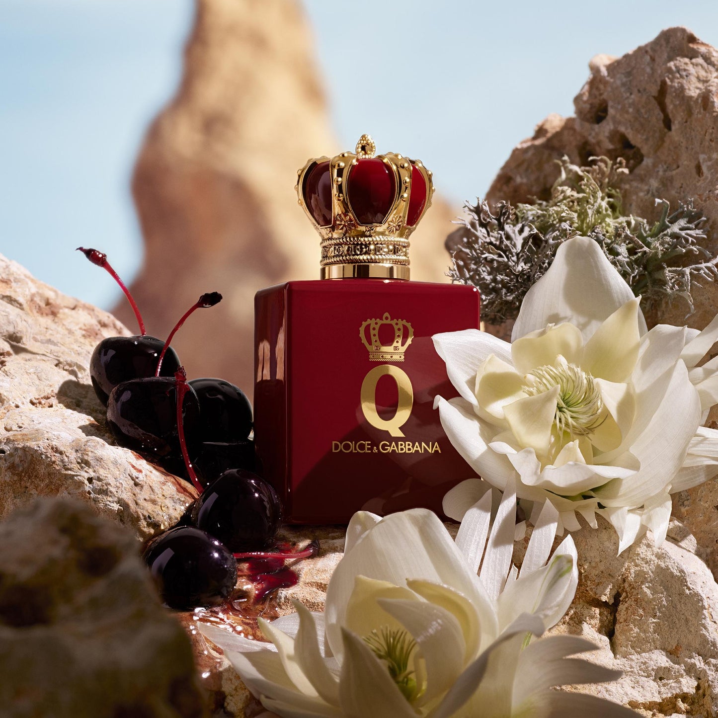 Q Elixir by Dolce&Gabbana Parfum