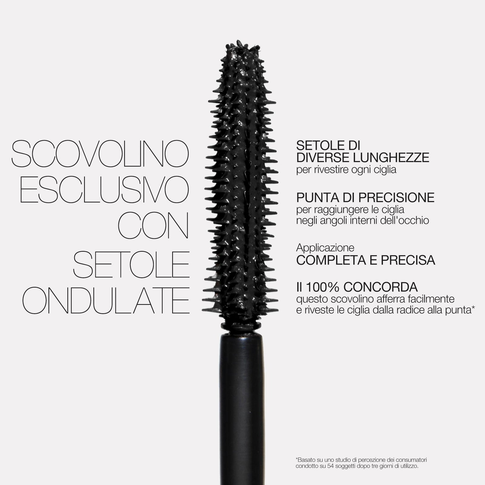 Notorious Mascara
