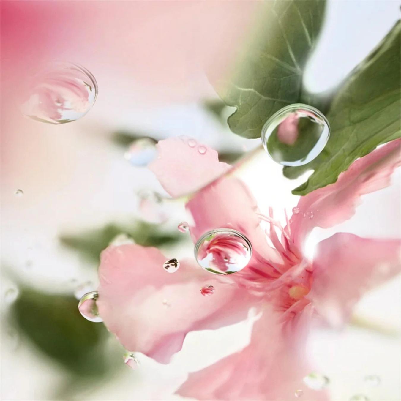 O De Lancome Over The Top