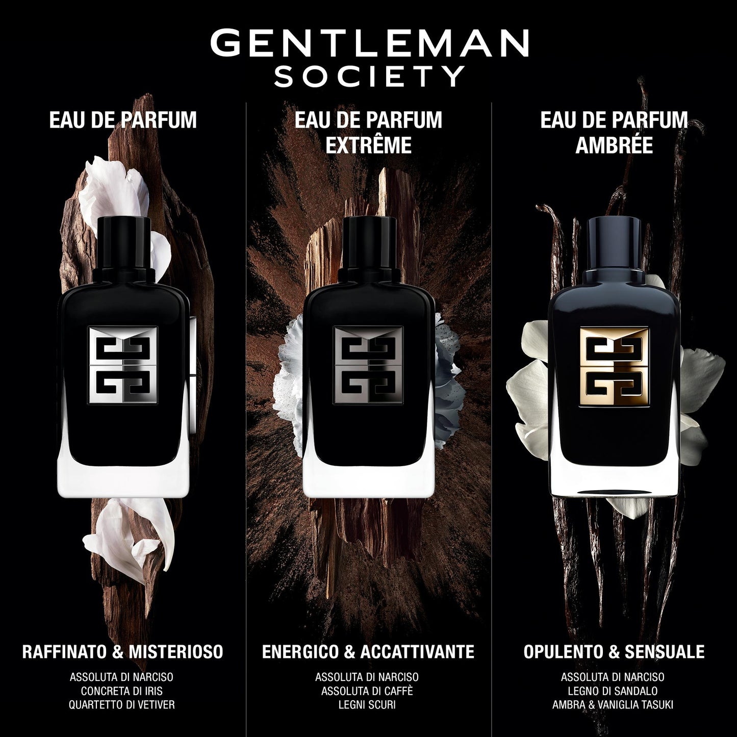 Gentleman Society Ricarica