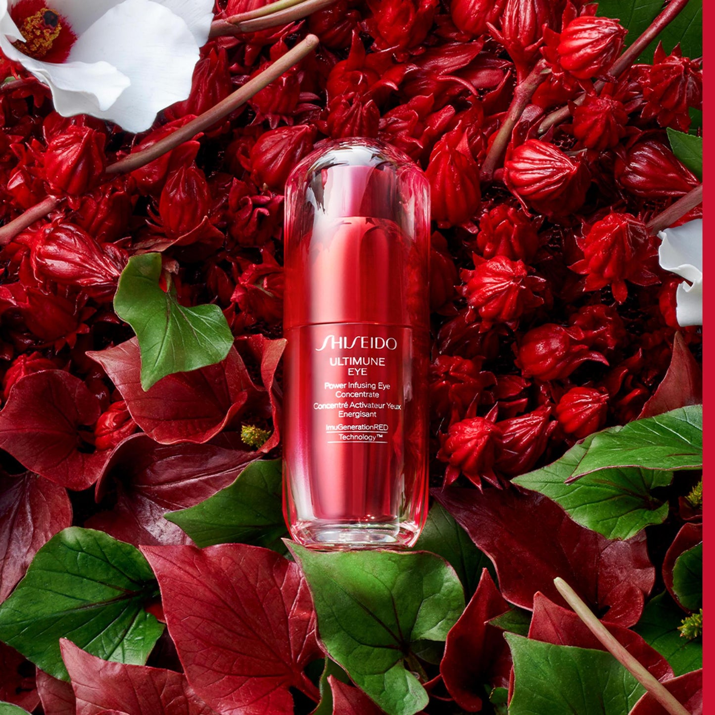 Ultimune Eye Power Infusing Concentrate