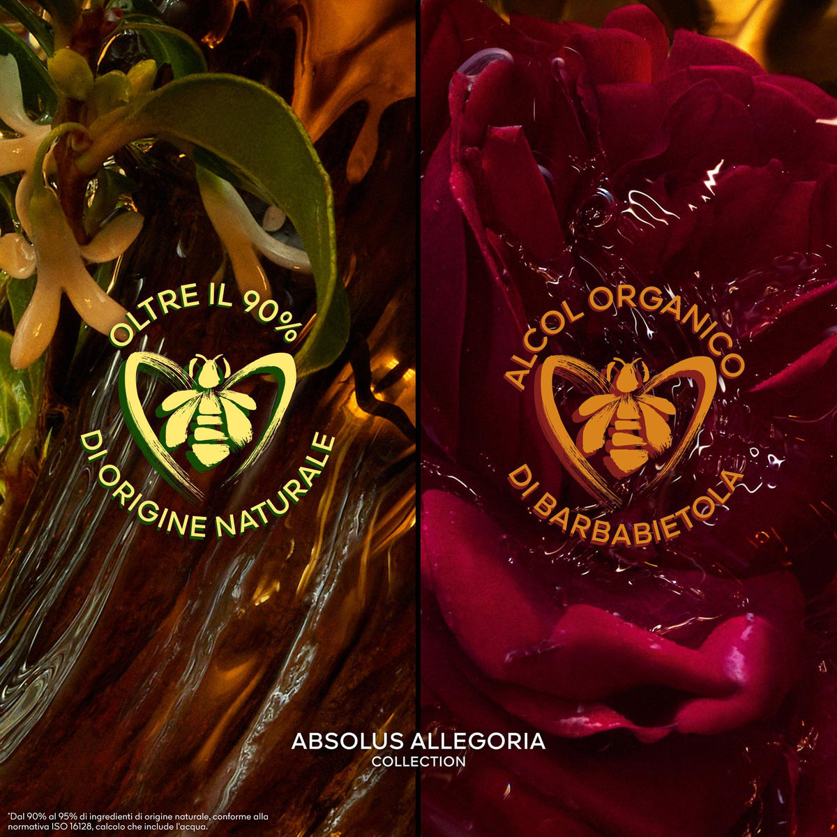 Aqua Allegoria Ambre Samar