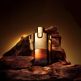 Forever Wanted Absolu