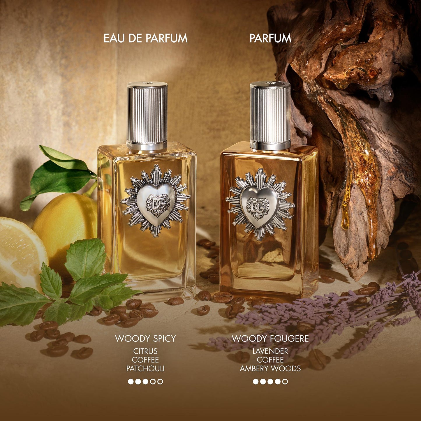 Devotion For Men Parfum