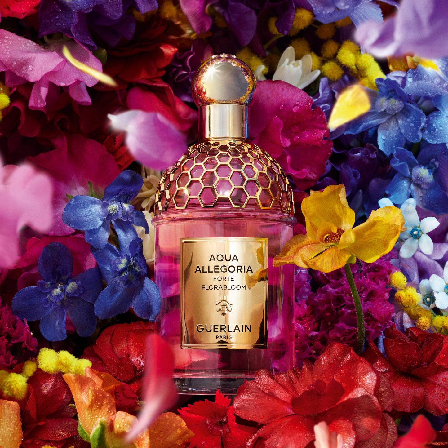 Cofanetto Aqua Allegoria Forte Florabloom Coffret Eau de Parfum