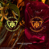 Absolus Allegoria Epices Exquises