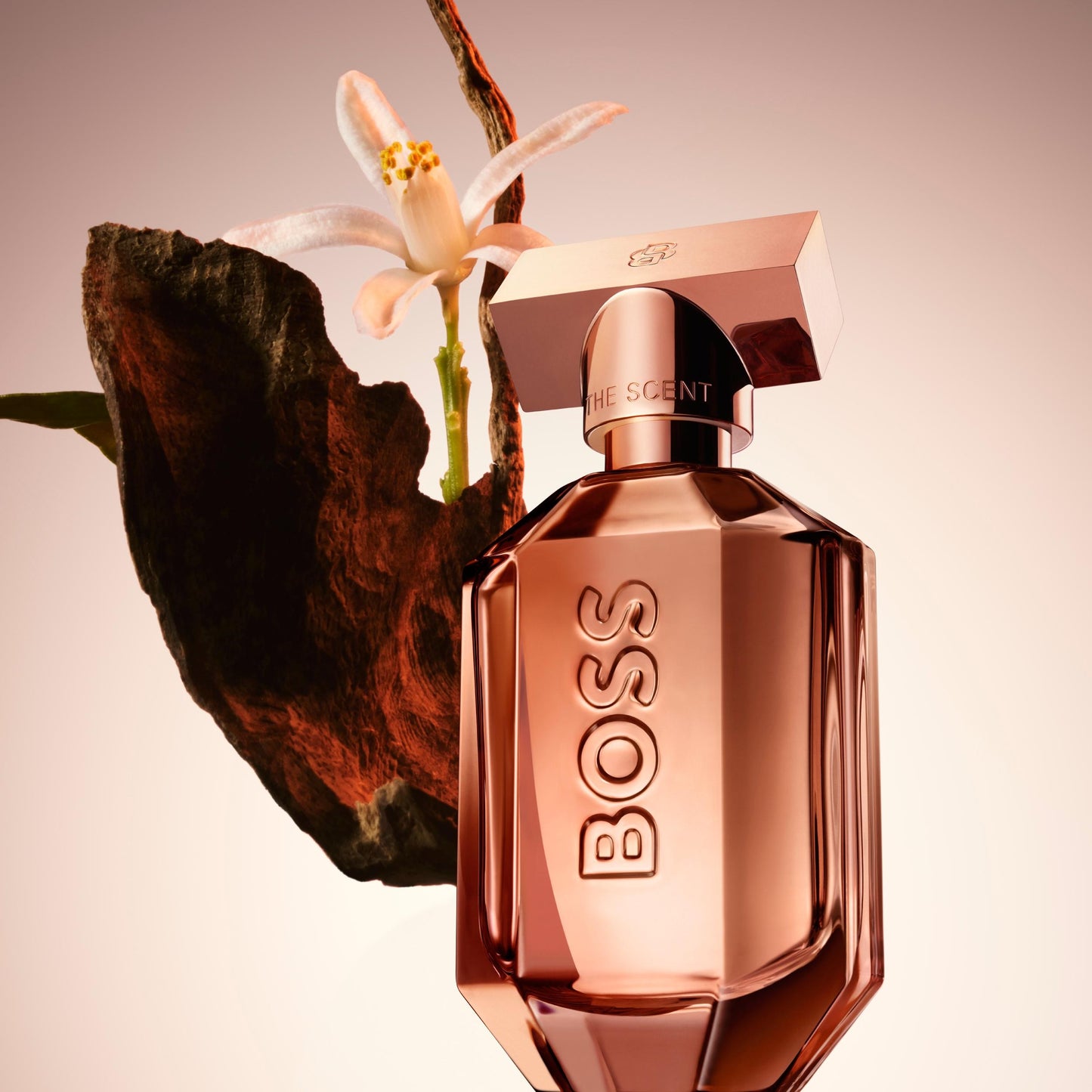 The Scent for Her
