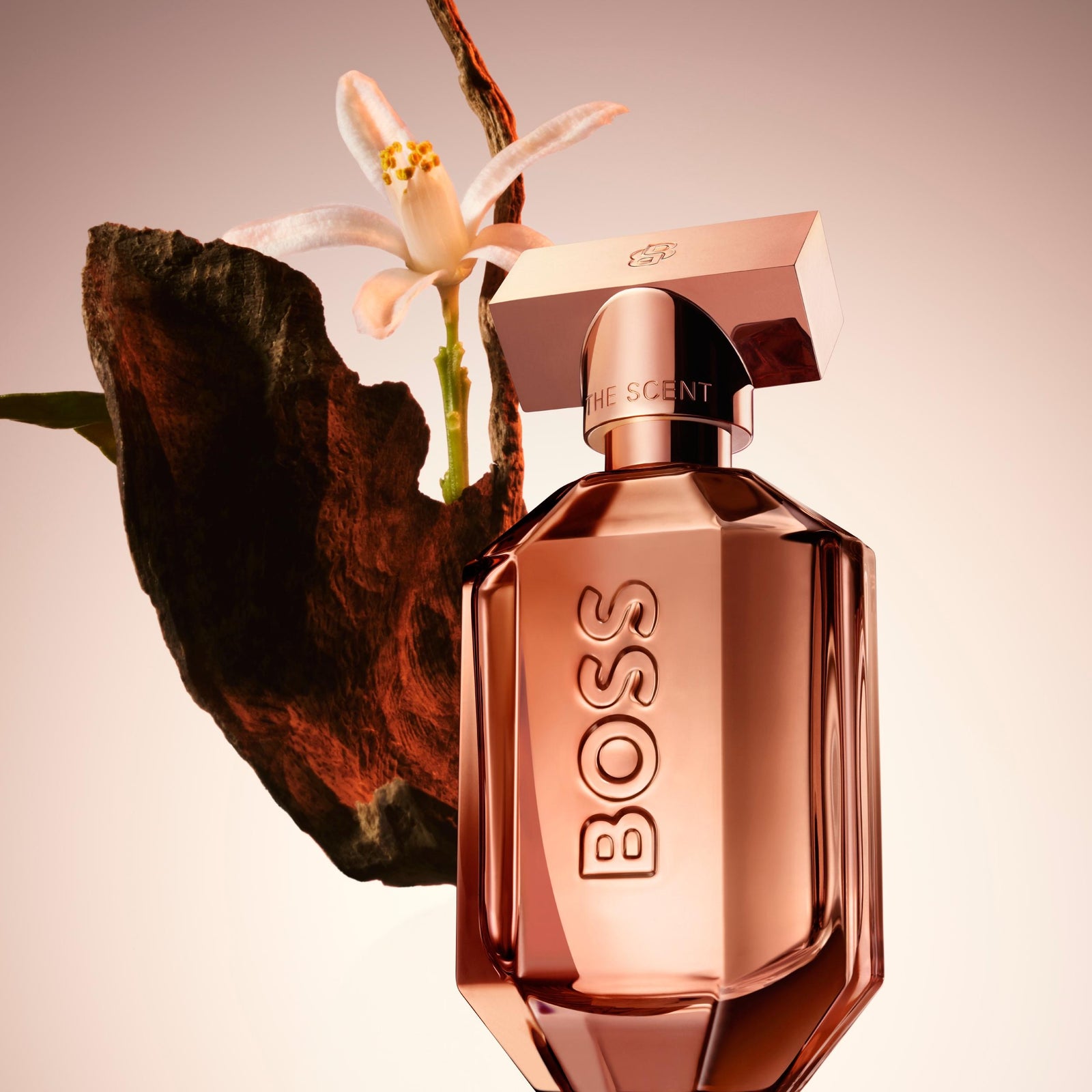 The Scent for Her