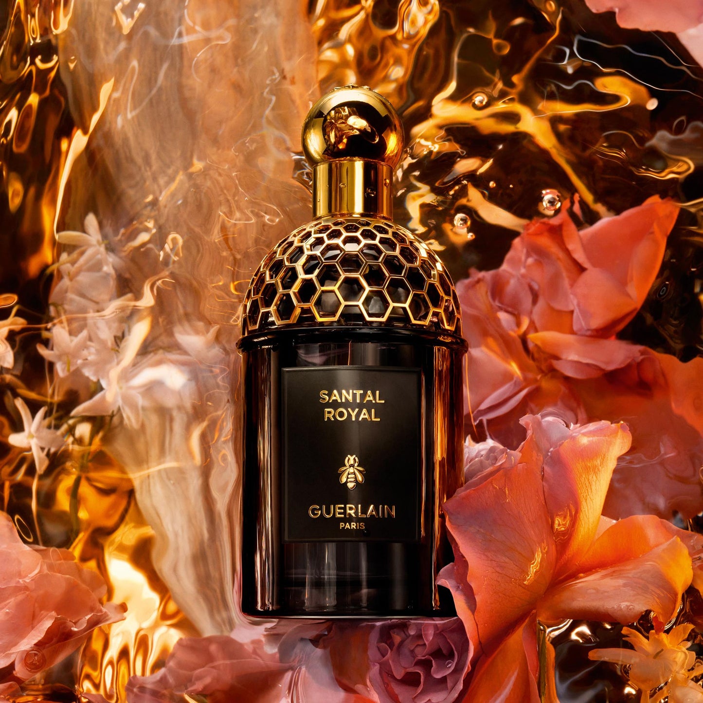 Absolus Allegoria Santal Royal