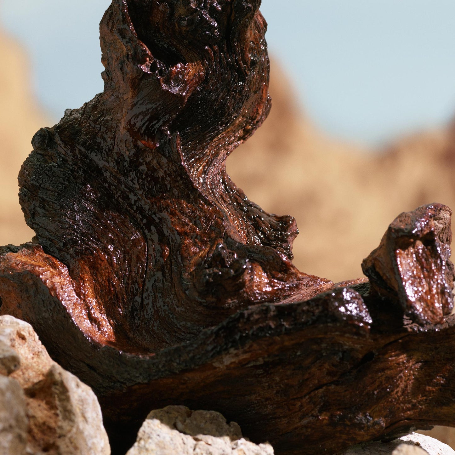 K Elixir by Dolce&Gabbana