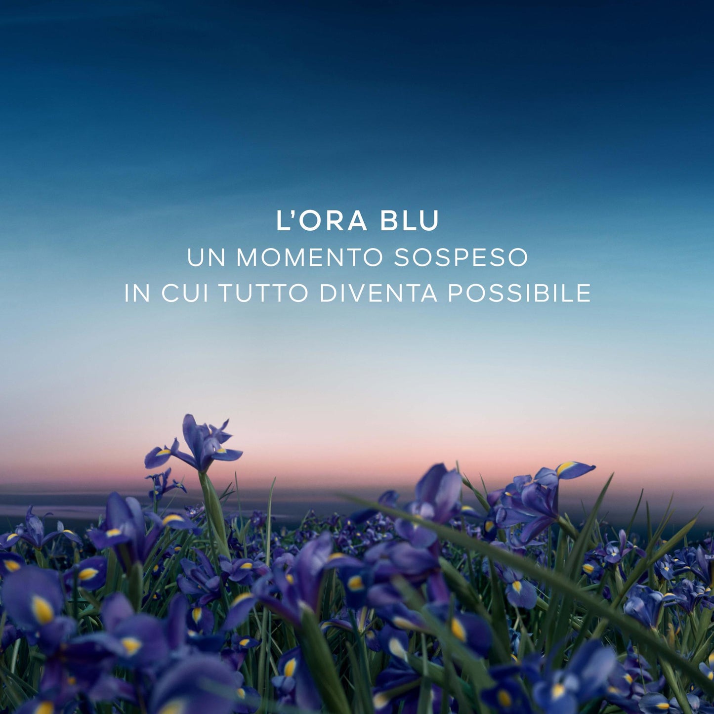 L’Heure Bleue