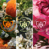 Cofanetto Aqua Allegoria Mandarine Basilic - Coffret Eau de Toilette