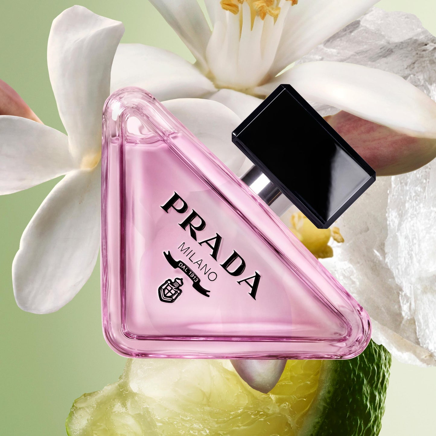 Paradoxe Virtual Flower