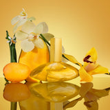 Euphoria Solar Elixir Parfum Intense for Women
