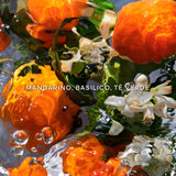 Cofanetto Aqua Allegoria Mandarine Basilic - Coffret Eau de Toilette