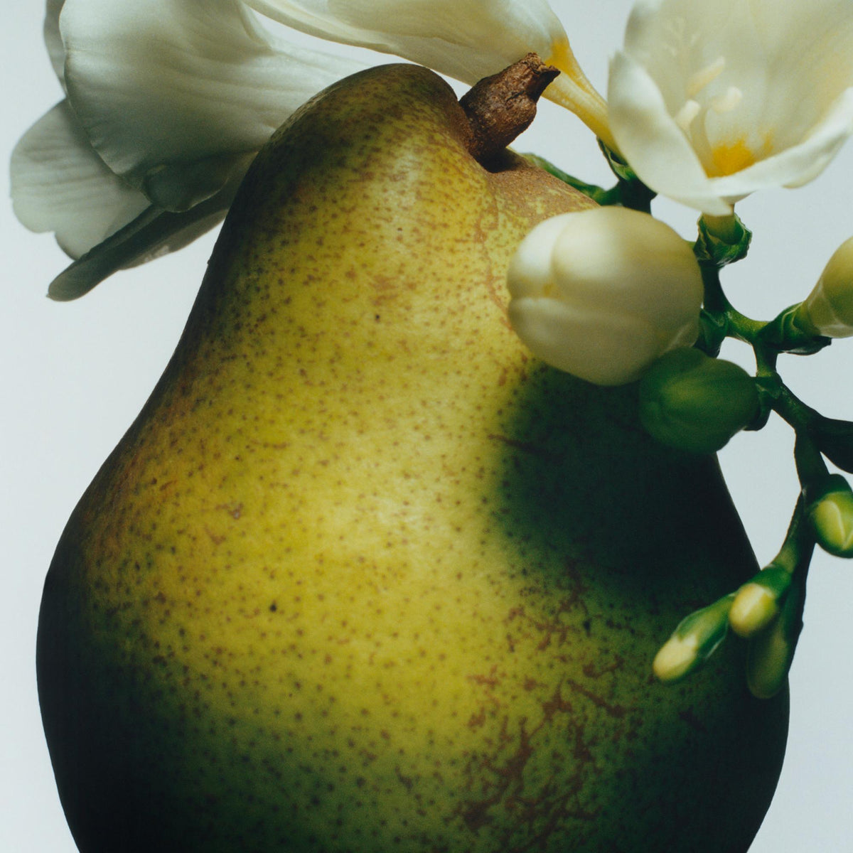 Cofanetto English Pear Everywhere & More