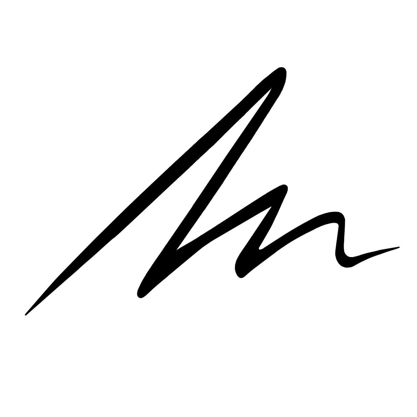 Everink Liner Eyeliner liquido con punta ultra precisa con tenuta fino a 24 ore