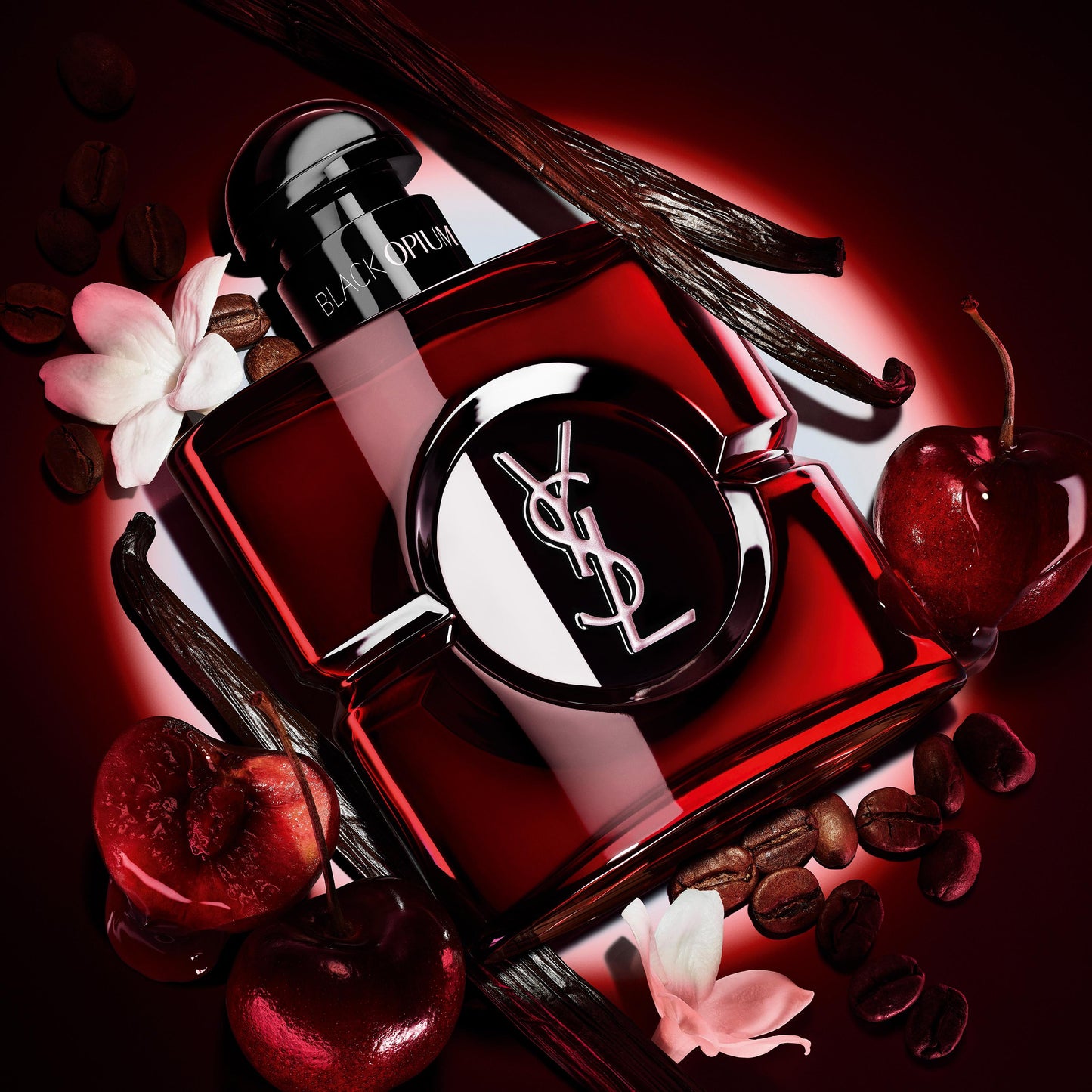 Black Opium Over Red