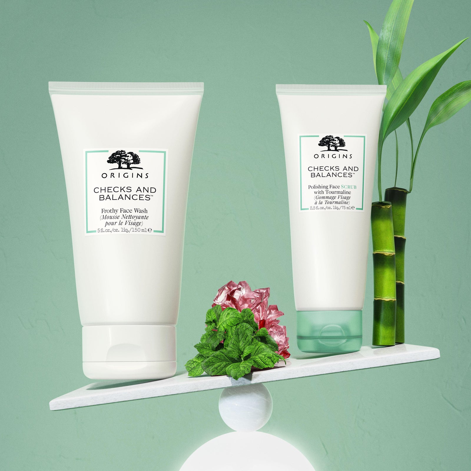CHECKS AND BALANCES Frothy Face Wash
