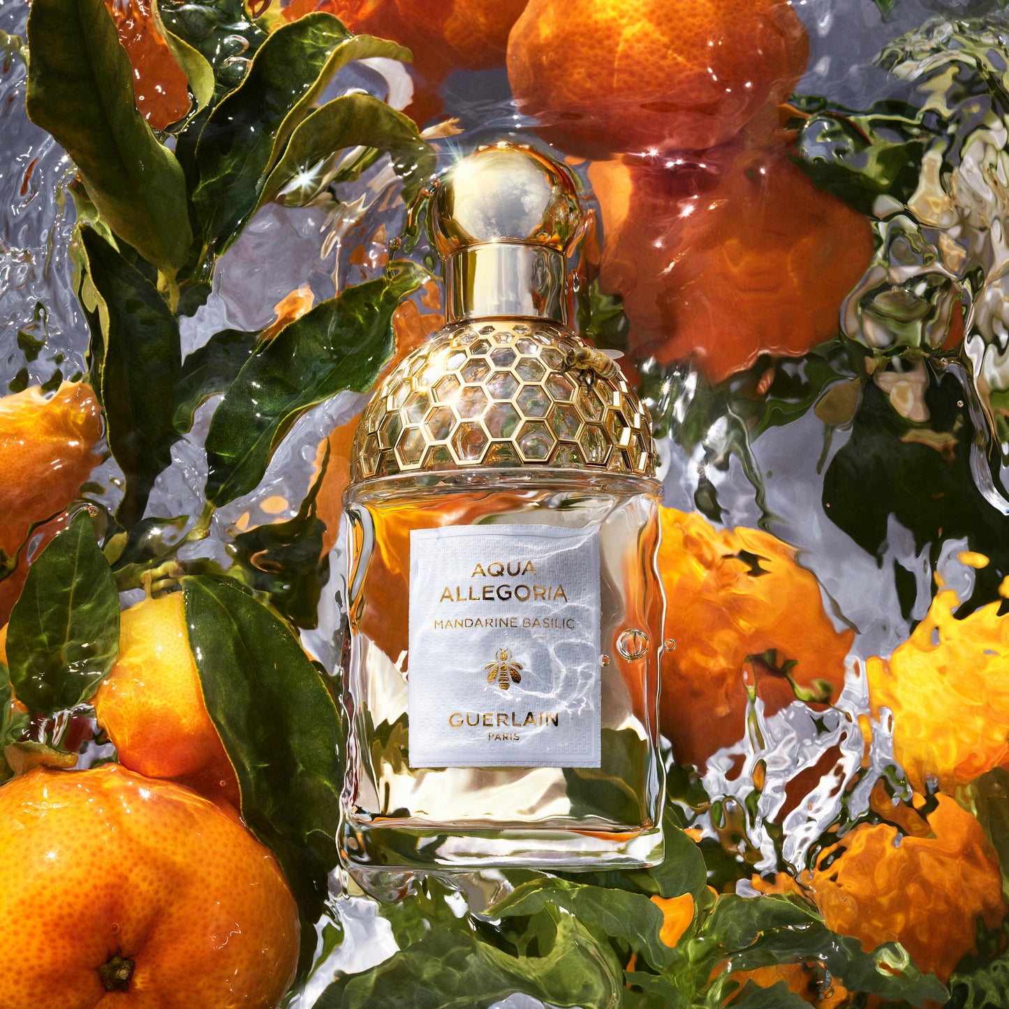 Aqua Allegoria Mandarine Basilic