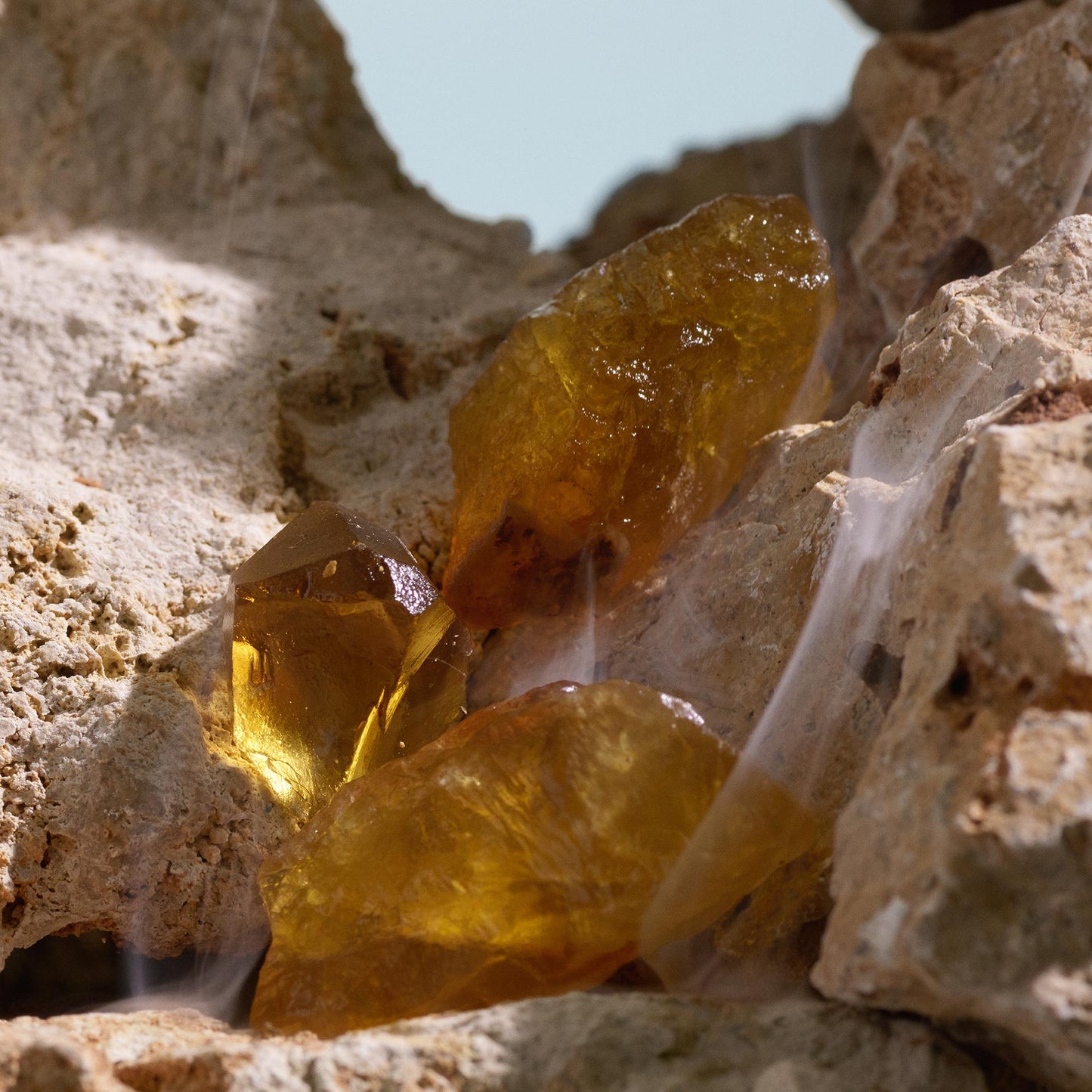 K Elixir by Dolce&Gabbana