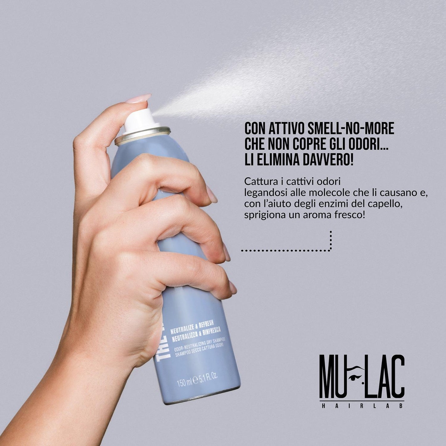 The Refresher Dry Shampoo