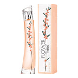 FlowerbyKenzo Ikebana Mimosa