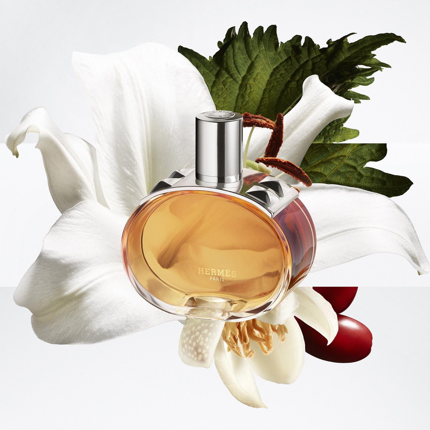 Barénia Pleine Fleur