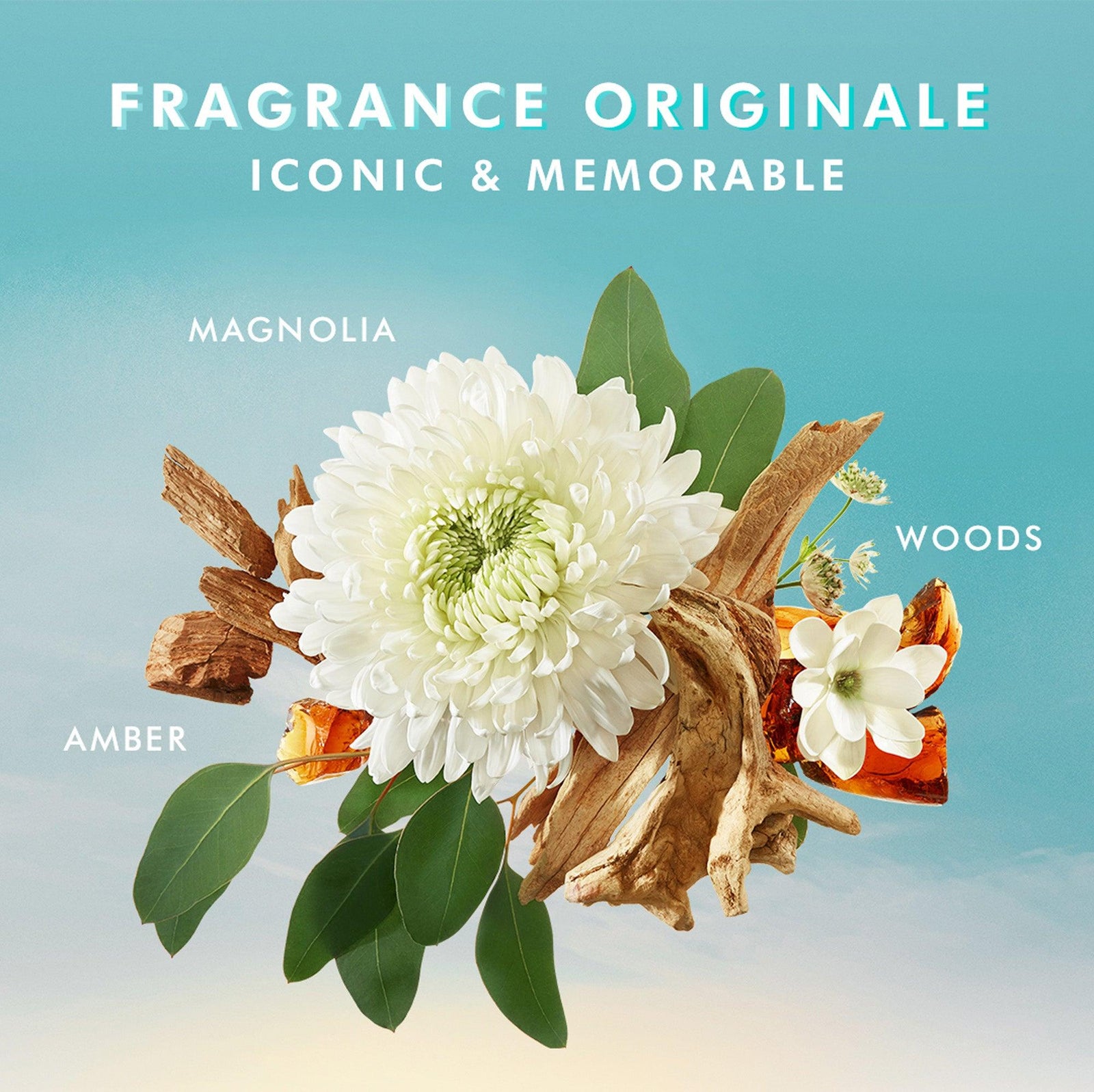 Body Lotion Fragrance Originale