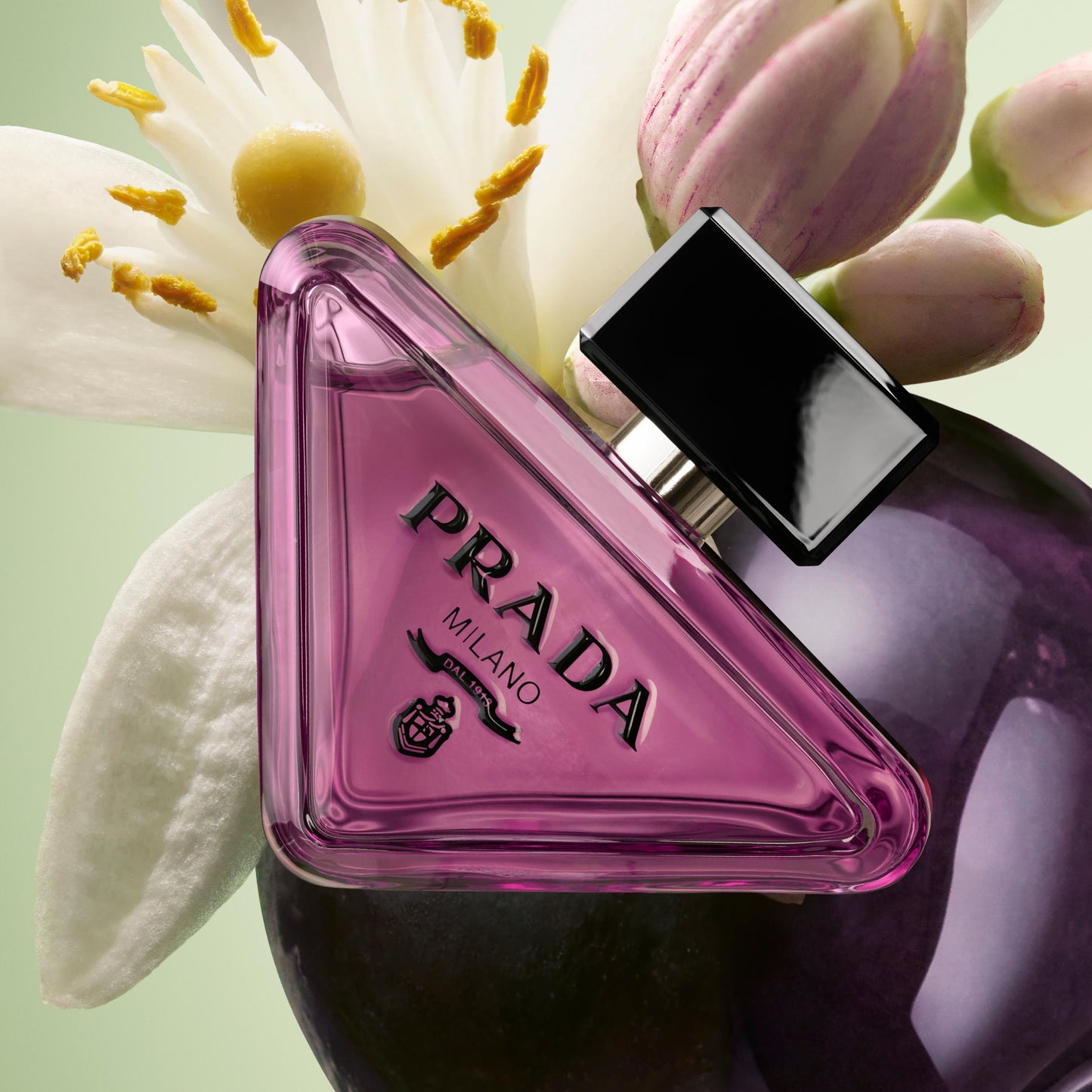 Paradoxe Sweet Chemistry Ricarica