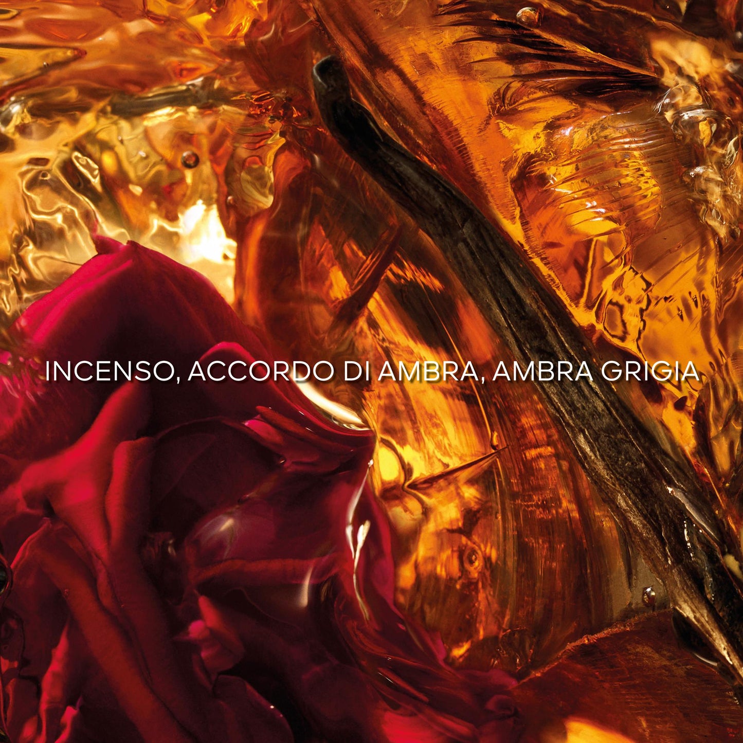 Aqua Allegoria Ambre Samar