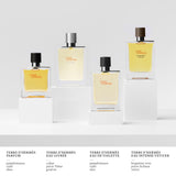 Terre d'Hermès Ricarica