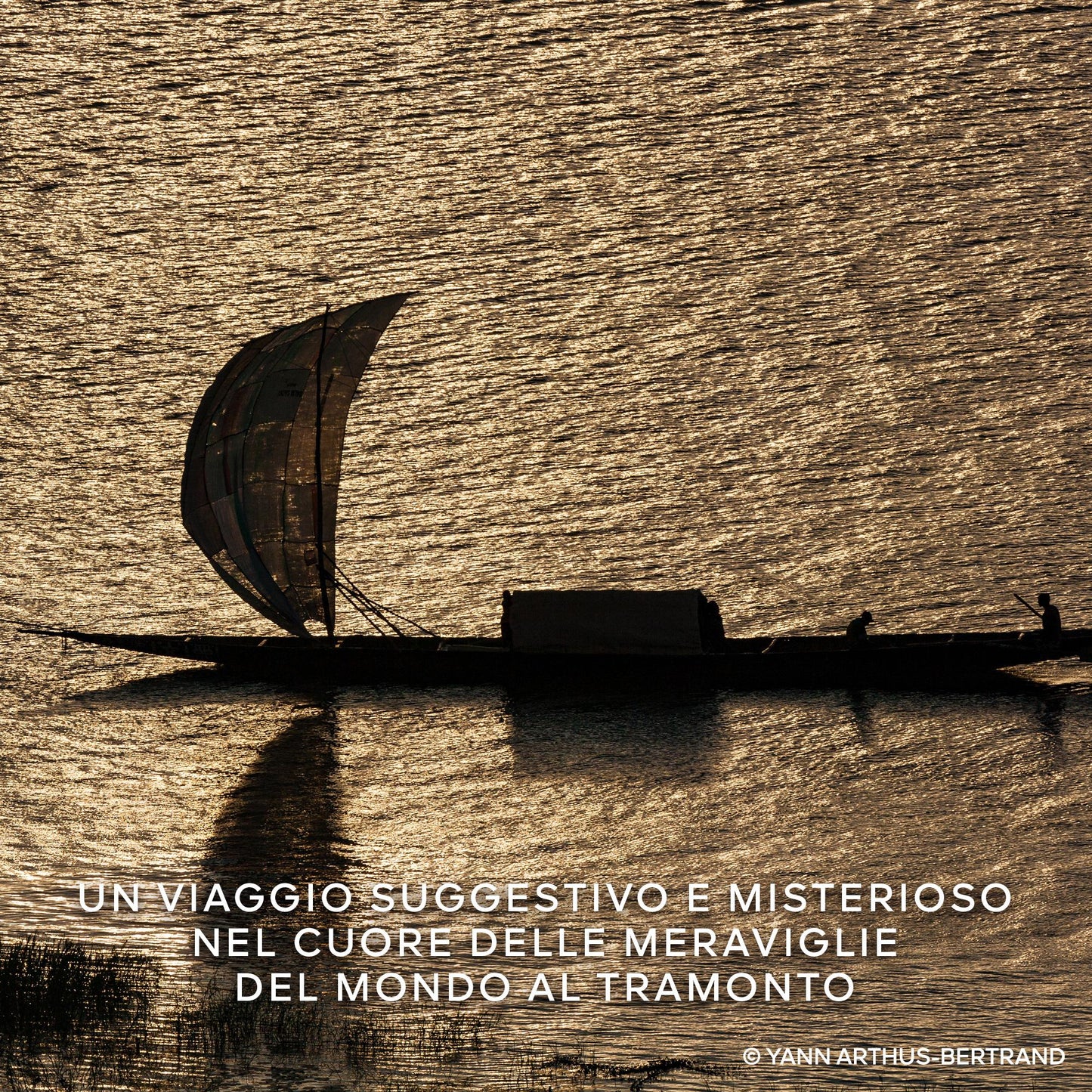 Aqua Allegoria Ambre Samar