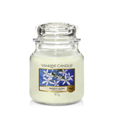 Jar Candles Midnight Jasmine