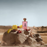 Q by Dolce&Gabbana