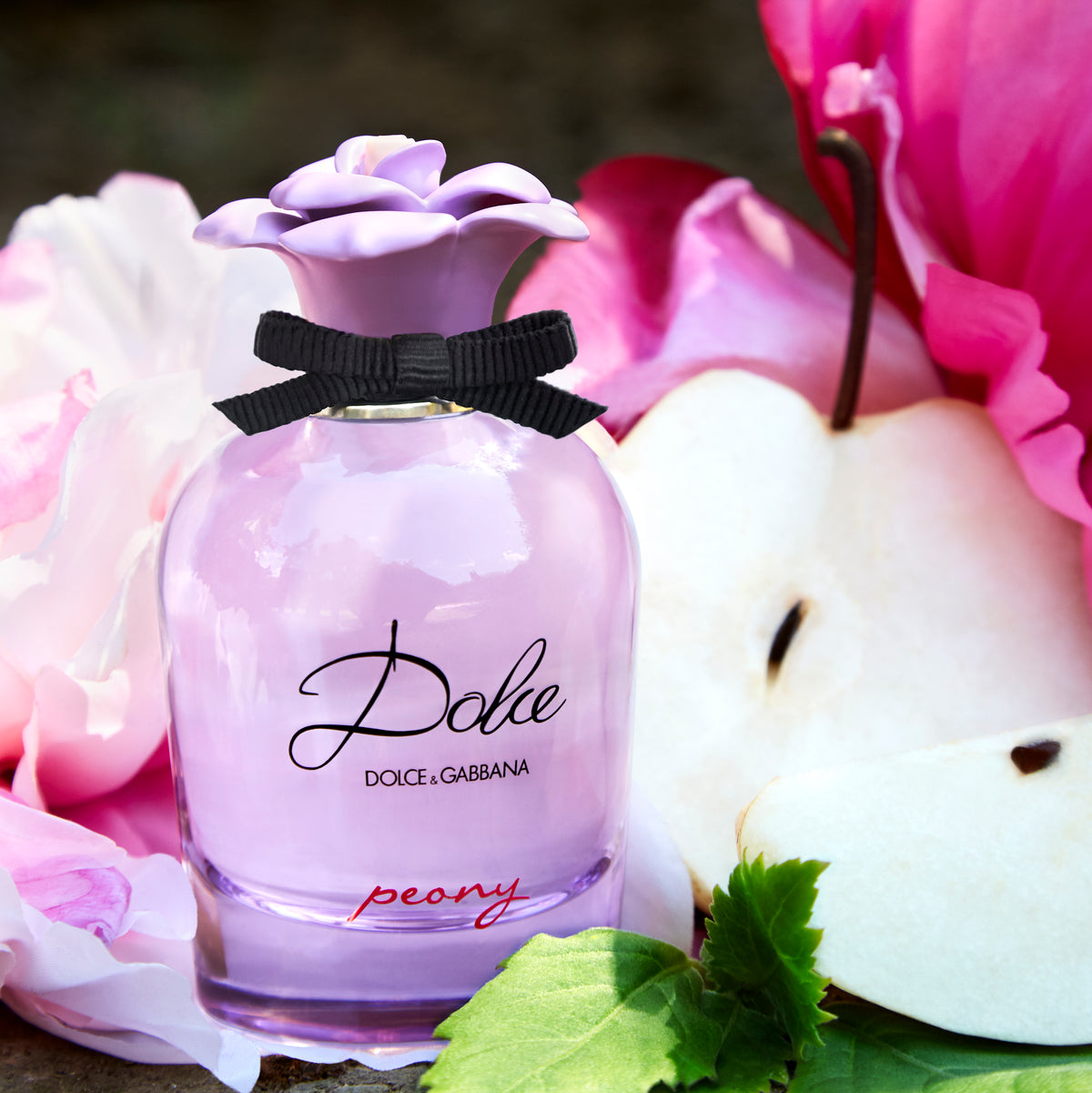 Dolce Peony
