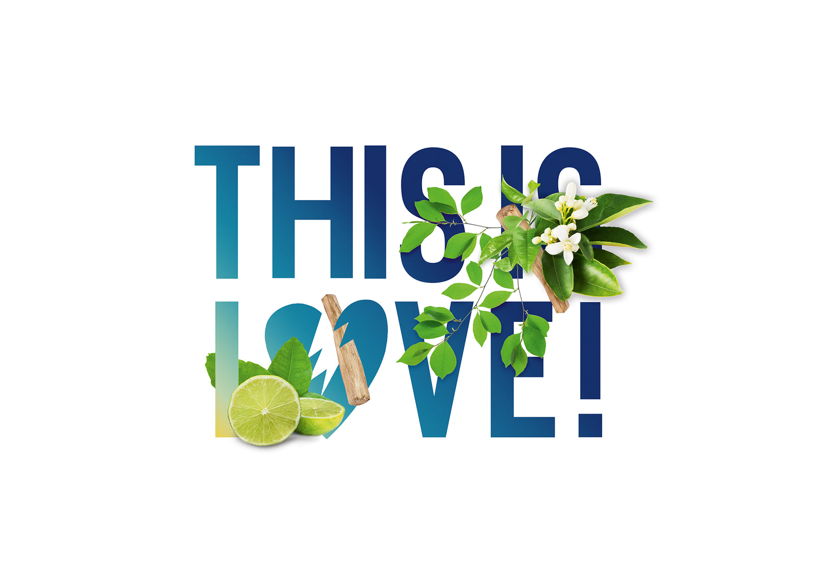 This is Love! Pour Lui